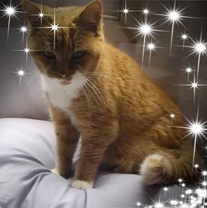 Meet your Posher, Denise